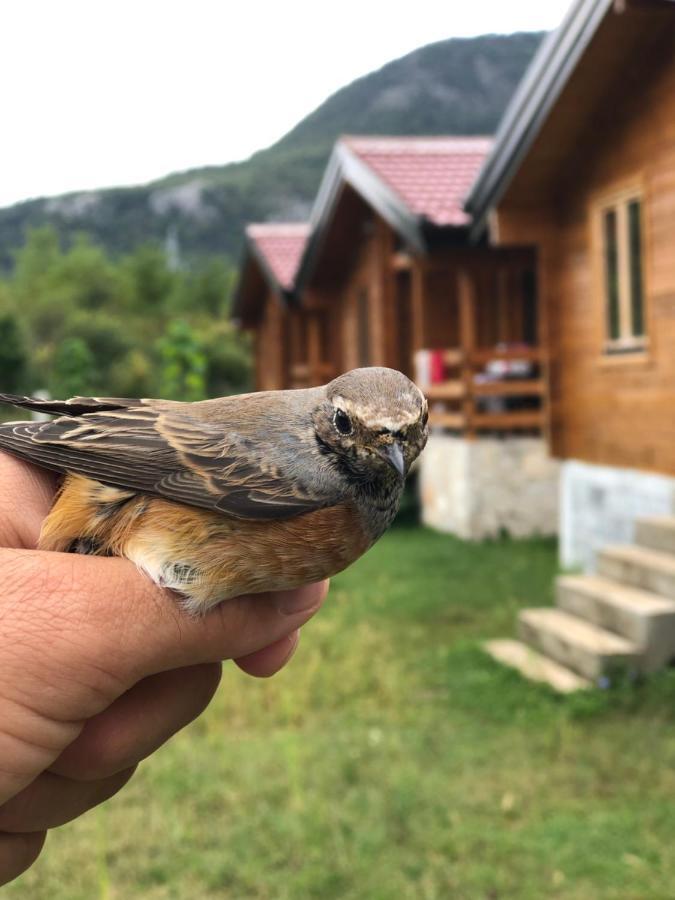 Orahovo Cottages Вирпазар Екстериор снимка